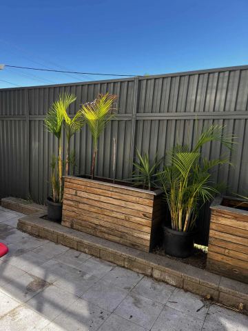 Charcoal panels backdrop timber planter boxes with palms on grey pavers beside a tan block retaining edge.