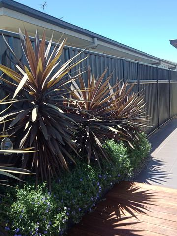 Colorbond privacy fence with a slat height extension beside a patio and garden plants