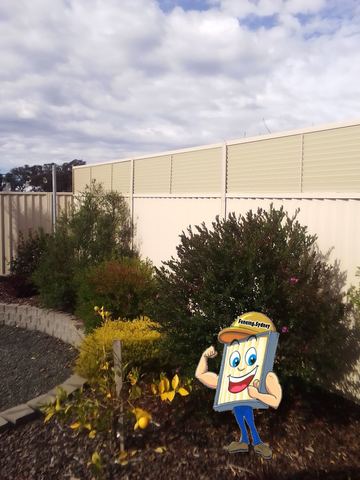 Cream Colorbond privacy fence with a slat height extension behind garden shrubs