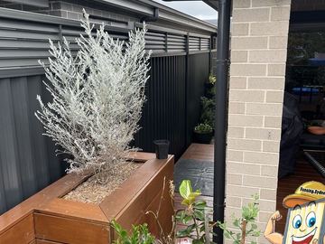 Charcoal Colorbond privacy fence beside a timber planter box under an eave