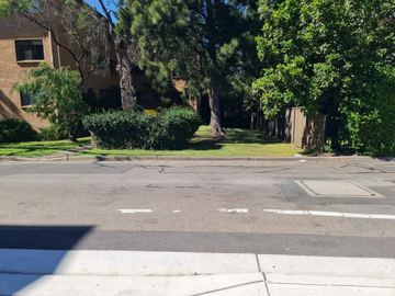 Tree-lined residential street looking toward a property boundary