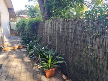 Dark brushwood privacy screen beside potted plants on a paved path