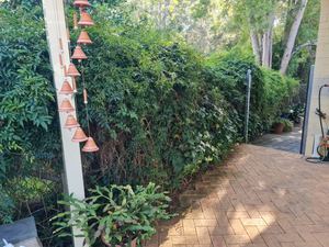 Common-property boundary fence after installation