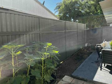 Mid grey Colorbond privacy fence beside sunflower plants on a paved patio
