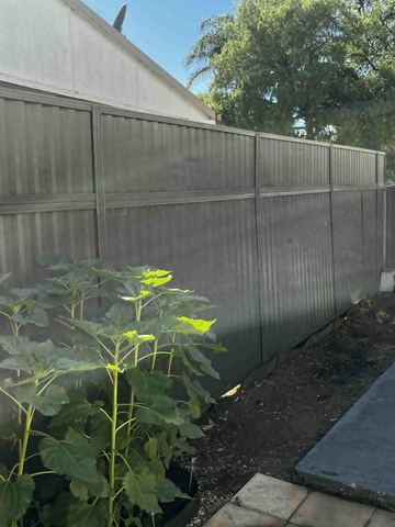 Mid grey Colorbond privacy fence beside sunflower plants on a paved patio