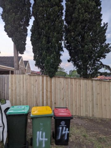 New natural timber palings stand behind wheelie bins and pencil pines with a house roof in the background.