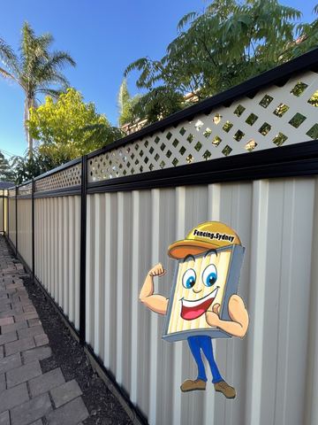 The scene shows a mid grey corrugated steel fence where lattice tops the panels, concrete paving runs alongside.