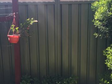 The scene shows a mid grey corrugated steel fence where lattice tops the panels, residential buildings appear beyond the line.