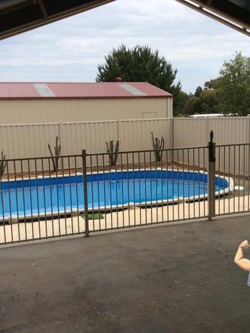 Cream tubular panels and gate enclose a blue above-ground pool beside cream corrugated fencing and a shed roof.