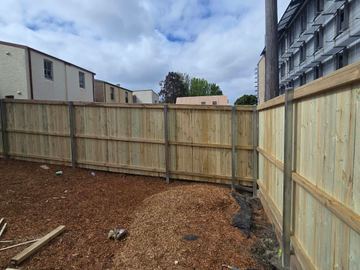 New treated pine palings on a residential block.