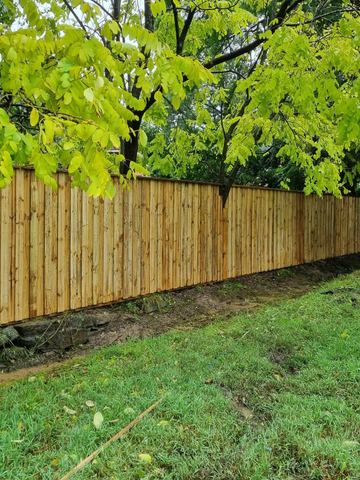 New treated pine palings along a garden boundary.