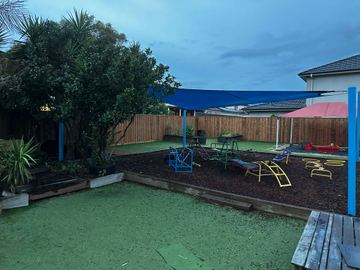 New treated pine palings along a garden boundary.