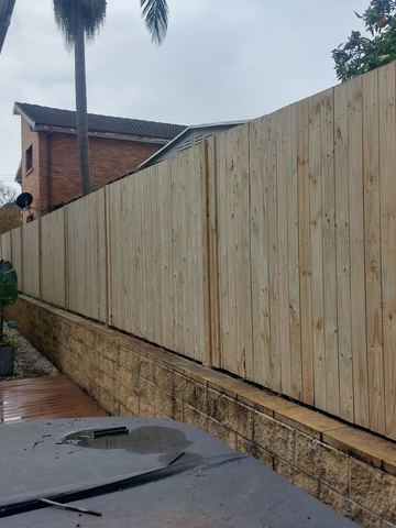 New treated pine paling fence standing on a stone retaining wall