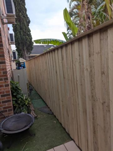 New treated pine palings on a residential block.