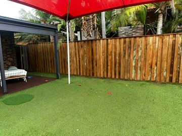 New treated pine palings along a garden boundary.