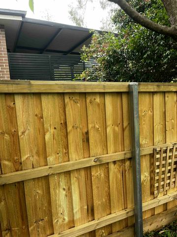 New treated pine palings on a residential block.
