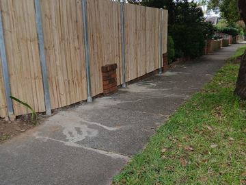 New treated pine palings along a garden boundary.