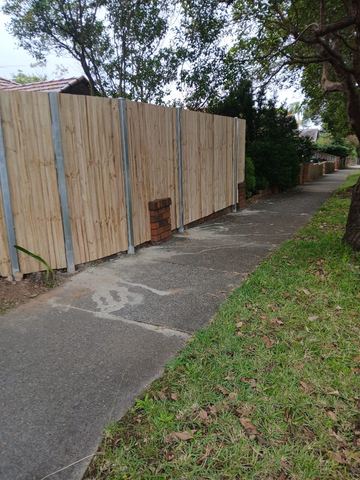 New treated pine palings along a garden boundary.