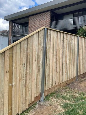 New treated pine palings along a garden boundary.