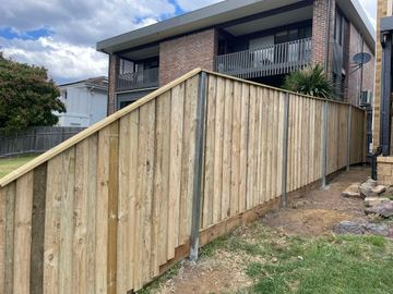 New treated pine palings along a garden boundary.