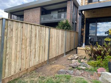 New treated pine palings on a residential block.