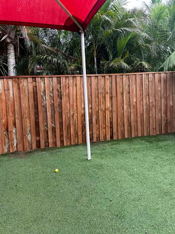 New treated pine palings along a garden boundary.