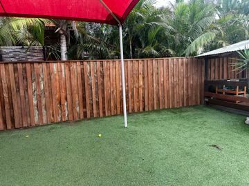 New treated pine palings along a garden boundary.