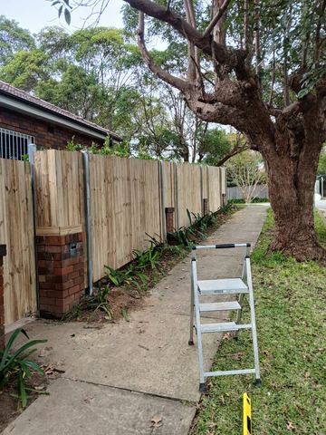 New treated pine palings along a garden boundary.