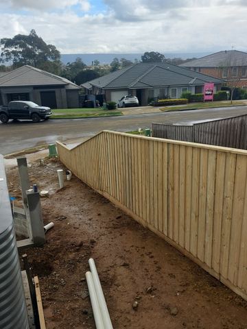 New treated pine palings on a residential block.