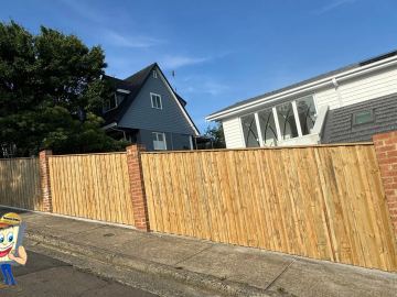 New treated pine palings on a residential block.