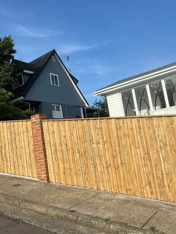 New treated pine palings on a residential block.