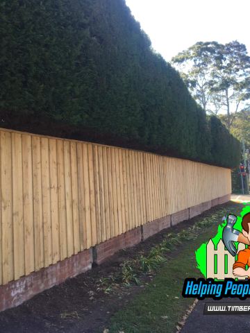 New treated pine palings on a residential block.