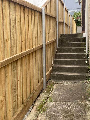 New treated pine palings on a residential block.