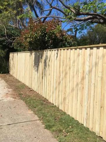 New treated pine palings on a residential block.