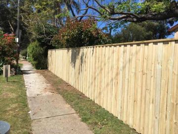 New treated pine palings on a residential block.